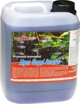 Femanga Algen Stop General na riasy 5000 ml
