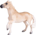 Mojo Kôň Brumby Mare