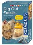 Scavi di fossili per bambini