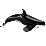 Safari® Orca typ D