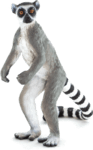 Mojo Lemur kata