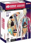 4D Master - Anatomie des Menschen - Transparenter Körper 33 cm
