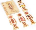 Bigjigs Toys Rompecabezas de madera Anatomía niña