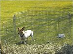 Ohradka Savic Dog Park 2 91cm