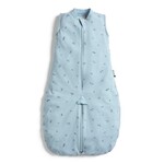 ERGOPOUCH Vak a overal na spanie 2v1 organická bavlna Suit Dragonflies 3-12 m, 6-10 kg, 0,