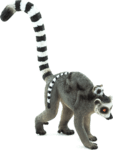 Mojo Lemur s mláďaťom