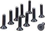 Vijak sa šesterokutnom glavom M2,5x10mm FH (10)