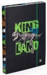 Box für Notizbücher A4 Premium Dinosaurus