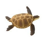 Safari® Hnedá korytnačka kareta