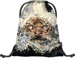 BAAGL Tasche eARTh - Tiger von Lukero