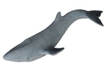 Živá příroda: Modrá velryba – realistický model (18 cm)