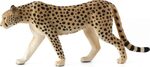 Mojo Gepard