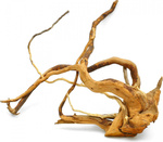 Koreň Red Moor wood XL (0,8-1,1 kg)