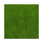 BRIXIES Plus 225.000 Dizajnová podložka na stavanie - tráva 25,5 x 25,5 cm