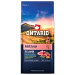 Krmivo Ontario Adult Large Lamb &amp; Brown Rice 12kg
