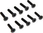 Axial skrutka imbus M3x14mm FH (10)