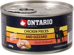 Konzerva Ontario kuracie kúsky a žalúdky 200g