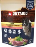 Kapsička Ontario kačka so zeleninou vo vývare 300g