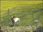 Ohradka Savic Dog Park 1 61cm