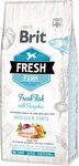 Füttern Sie Brit Fresh Fish mit Kürbis Adult Large 12 kg