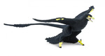 Safari® Microraptor dinosaurus
