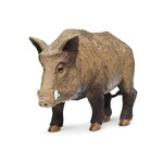 Safari® Diviak lesný