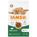 CZZ*IAMS CAT AD LMB 3KG