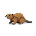 Safari® Bobor