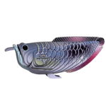 EUGY Arowana srebrna 3D kartonska sestavljanka