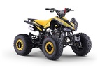 Benzínová štvorkolka pre deti Beneo Motors ZXT žltá - 125cm3