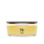 WW Kerze Schiff Solar Orchid