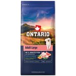 Krmivo Ontario Adult Large Fish &amp; Brown Rice 12kg