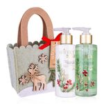ACCENTRA Set za kupanje Winter Spa u filcanom vrećici Zimsko voće 2x 200ml