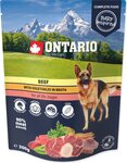 Kapsička Ontario hovädzie so zeleninou vo vývare 300g