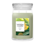 YC Signature Kerze Groß Sage &amp; Citrus