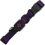 Obojok Active Dog Strong S fialový 1,5x27-37cm