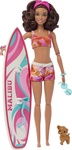 Mattel Barbie Surfistka s doplnkami