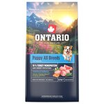 Krmivo Ontario Puppy All Breeds Monoprotein Turkey &amp; Sweet Potatoes 6,5kg