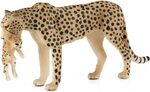 Mojo Gepard s mláďaťom
