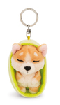 NICI kľúčenka spiaci Psík Welsh Corgi 12 cm, svetlo-zelený košík, GREEN
