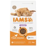 CZZ*IAMS CAT AD HBCTRL CKN 3KG