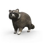 Schleich Raton Laveur
