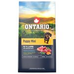 Krmivo Ontario Puppy Mini Lamb &amp; Brown Rice 6,5kg