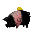 EUGY 3D Pappschwein Puzzle