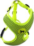 Postroj Active Dog Mellow XS limetka 1,5x30-40cm