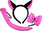 Set Karneval - Kat