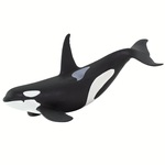 Safari® Orca