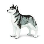 Safari® Sibírsky husky