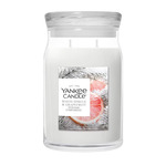 YC Signature Kerze Groß White Spruce &amp; Grapefruit