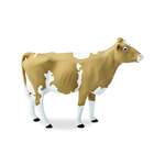 Safari® Krava Guernsey